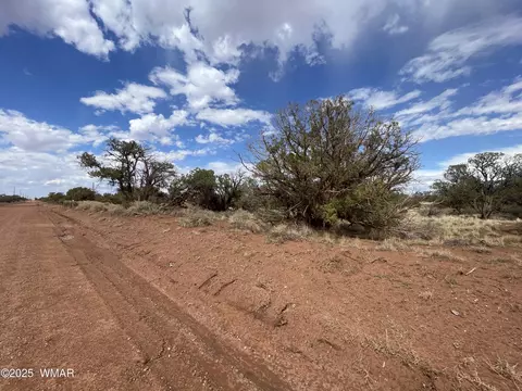 4341 Clydesdale Rd, Snowflake, AZ 85937 photo 9