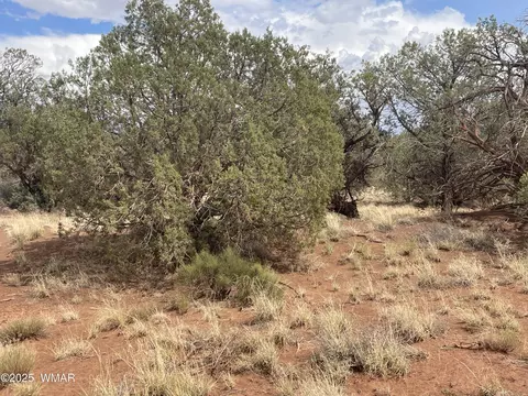 4341 Clydesdale Rd, Snowflake, AZ 85937 photo 12