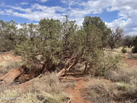 4341 Clydesdale Rd, Snowflake, AZ 85937 photo 8
