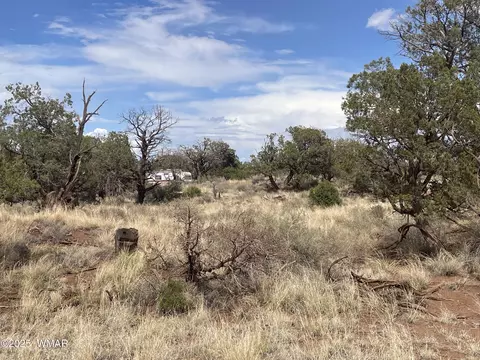 4341 Clydesdale Rd, Snowflake, AZ 85937 photo 6
