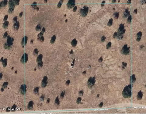 1822 Mcallister Ave, Heber, AZ 85928