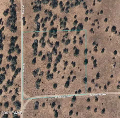 1824 Mcallister Ave, Heber, AZ 85928