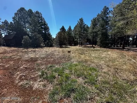 3036 Deer Trl, Lakeside, AZ 85929