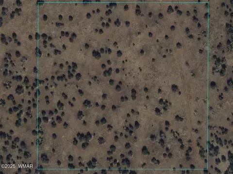 2575 Jay Rd, White Mountain Lake, AZ 85912 photo 2