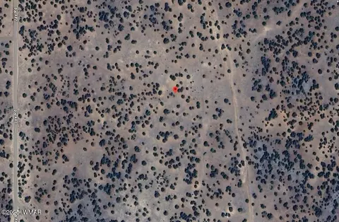2575 Jay Rd, White Mountain Lake, AZ 85912 photo 6