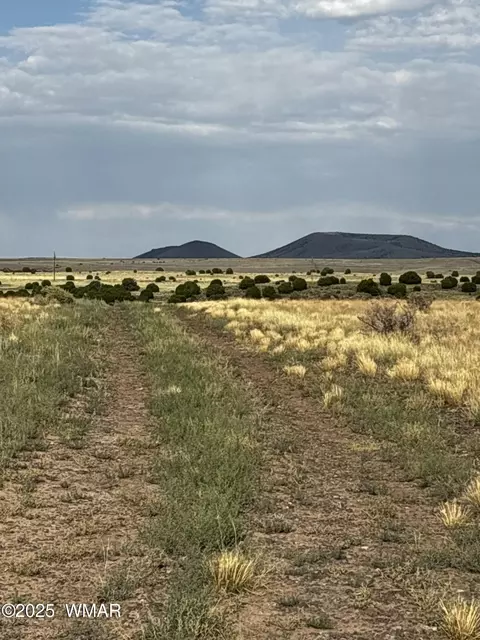 113 Harry Dr, Concho, AZ 85924