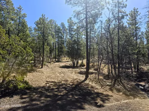 2501 S Pine Wood Ln, Pinetop, AZ 85935