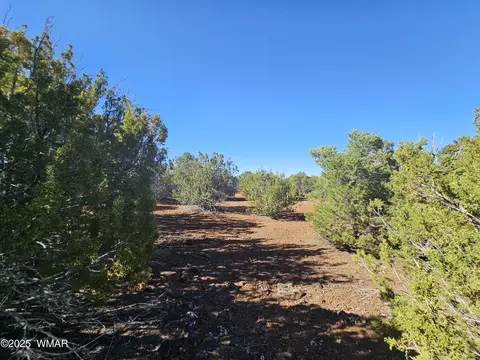 21 Co Rd 8032, Concho, AZ 85924