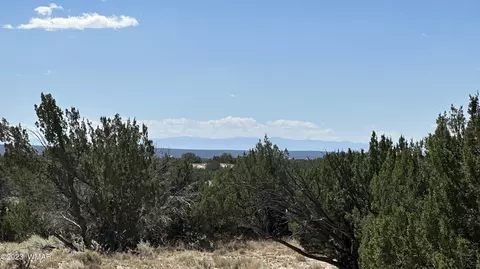 ACR 7230 #APN205-77-002, Saint Johns, AZ 85936