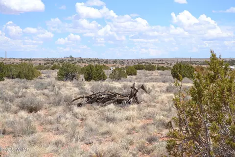 lot020 E G E 24th N St, Snowflake, AZ 85937