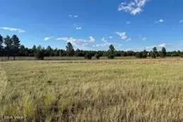 tbd Quarter Horse Trl, Overgaard, AZ 85933
