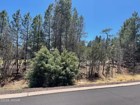 2621 Marshalls Run, Show Low, AZ 85901
