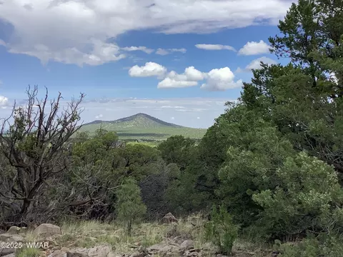 37 Cr 3168, Vernon, AZ 85940