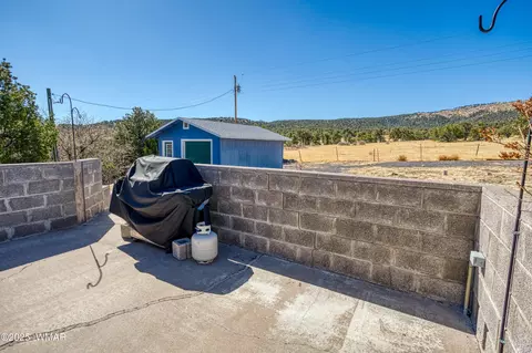 1539 Lesueur Dr, Eagar, AZ 85925 photo 11