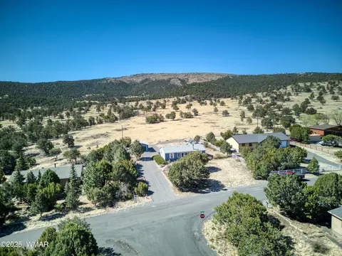 1539 Lesueur Dr, Eagar, AZ 85925 photo 21