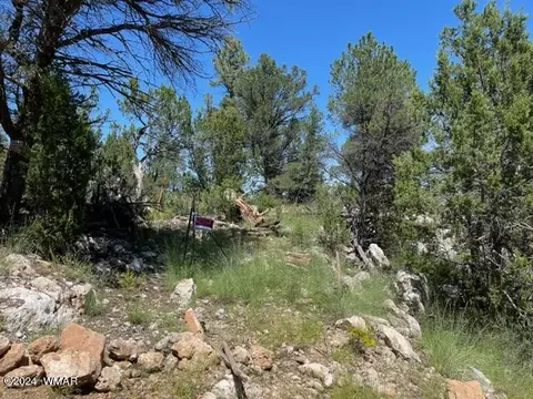 2252 Mulligan Dr, Overgaard, AZ 85933