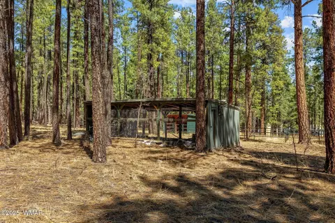 Exterior - 61 Co Rd 2266, Alpine, AZ 85920 photo 14 of 18