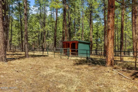 Exterior - 61 Co Rd 2266, Alpine, AZ 85920 photo 2 of 18