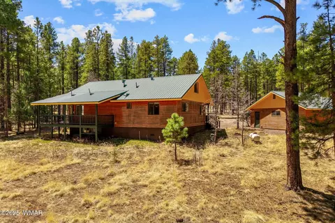 Other - 61 Co Rd 2266, Alpine, AZ 85920 photo 5 of 11