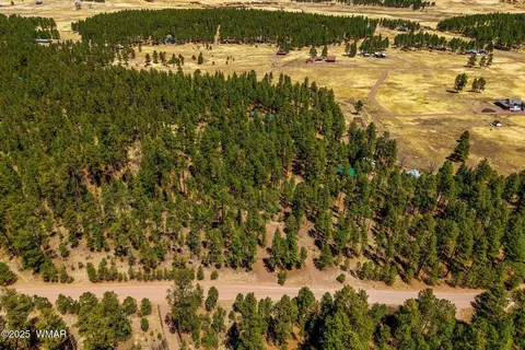 View/Area - 61 Co Rd 2266, Alpine, AZ 85920 photo 2 of 4