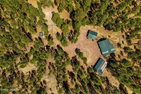 View/Area - 61 Co Rd 2266, Alpine, AZ 85920 photo 4 of 4