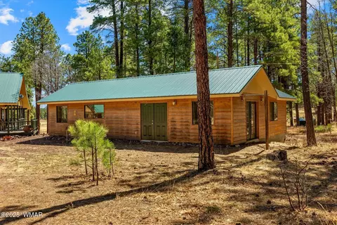 Other - 61 Co Rd 2266, Alpine, AZ 85920 photo 8 of 11