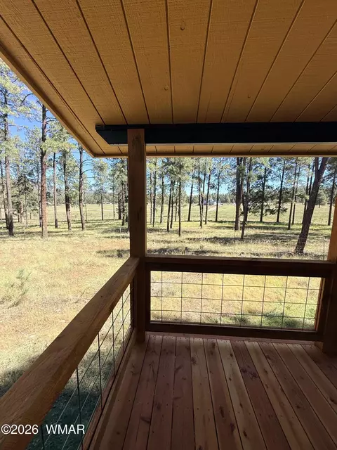 Exterior - 61 Co Rd 2266, Alpine, AZ 85920 photo 17 of 18