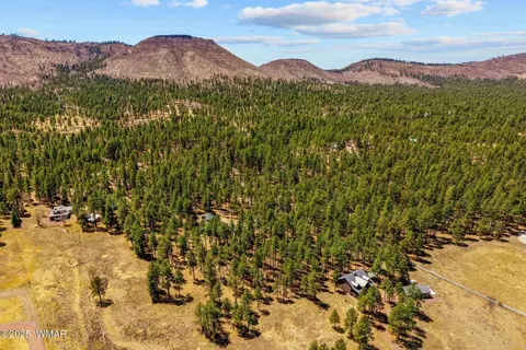 Other - 61 Co Rd 2266, Alpine, AZ 85920 photo 11 of 11