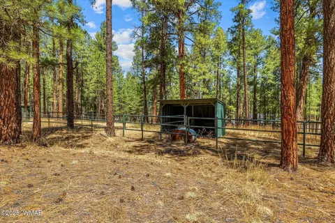 Other - 61 Co Rd 2266, Alpine, AZ 85920 photo 9 of 11