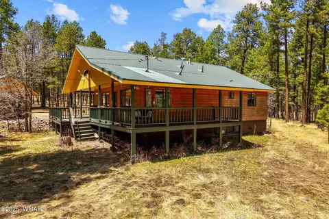 Exterior - 61 Co Rd 2266, Alpine, AZ 85920 photo 11 of 18