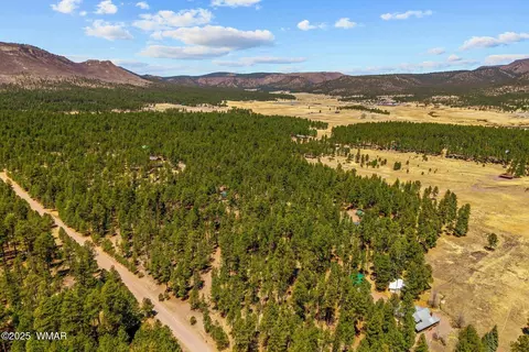 View/Area - 61 Co Rd 2266, Alpine, AZ 85920 photo 1 of 4