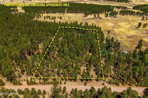 Other - 61 Co Rd 2266, Alpine, AZ 85920 photo 1 of 11