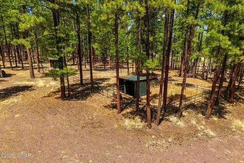 Other - 61 Co Rd 2266, Alpine, AZ 85920 photo 10 of 11