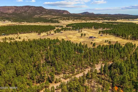 View/Area - 61 Co Rd 2266, Alpine, AZ 85920 photo 3 of 4