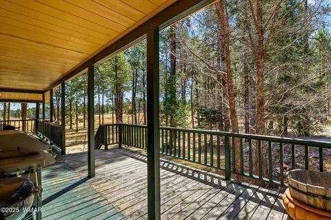 Exterior - 61 Co Rd 2266, Alpine, AZ 85920 photo 8 of 18