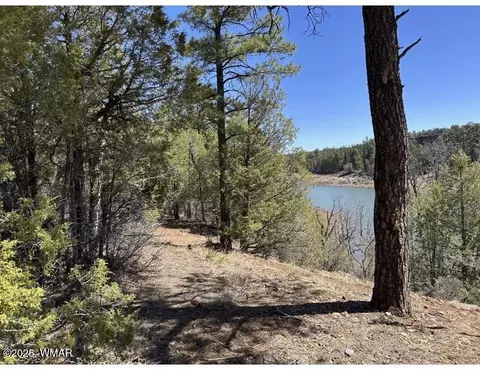 tbd Show Low Lake Rd, Show Low, AZ 85901