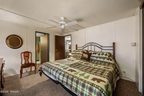 2185 Gingerbread Ln, Overgaard, AZ 85933 photo 11