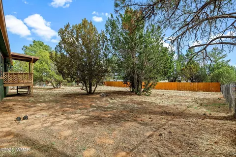 2185 Gingerbread Ln, Overgaard, AZ 85933 photo 17