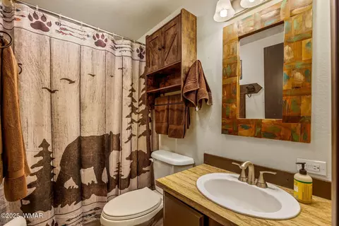 2185 Gingerbread Ln, Overgaard, AZ 85933 photo 14