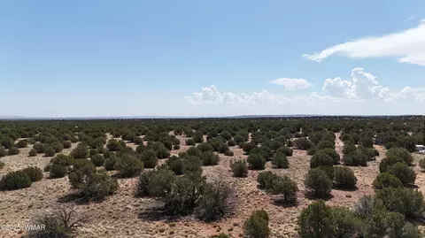 3981 Apache Rd, Snowflake, AZ 85937