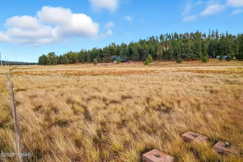 440 2104, Alpine, AZ 85920 photo 10