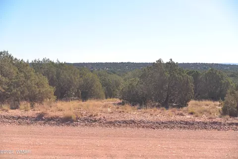 4173 Colt Rd, Snowflake, AZ 85937 photo 1