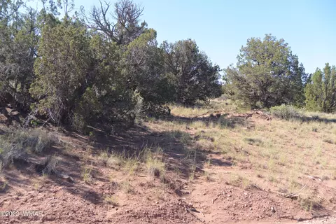 4211 Sorrel Rd, Snowflake, AZ 85937