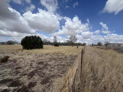 tbd W Highway 60, Springerville, AZ 85938 photo 3