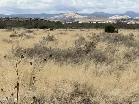 tbd E Highway 60, Springerville, AZ 85938