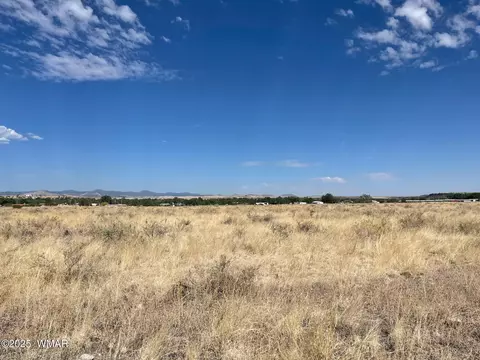 tbd Tumbling T Dr, Springerville, AZ 85938 photo 2
