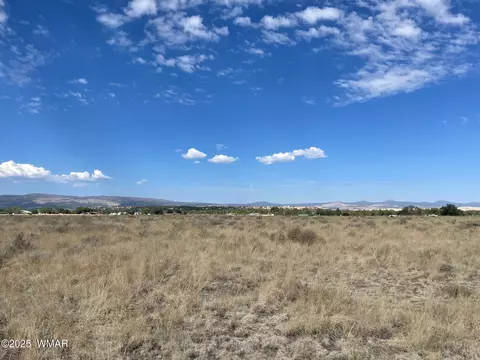 tbd Tumbling T Dr, Springerville, AZ 85938