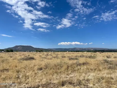 tbd Tumbling T Dr, Springerville, AZ 85938 photo 4