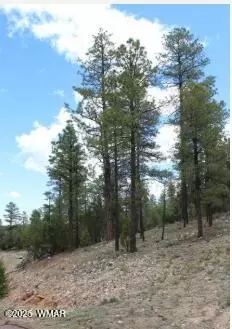 3339 Sawmill Ridge Loop, Heber, AZ 85928