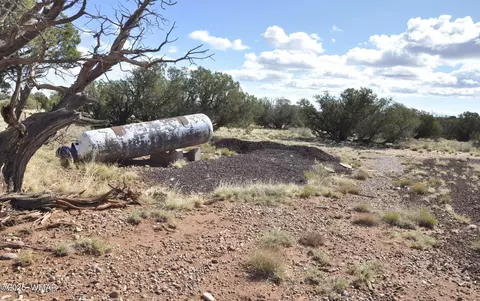 241 N9234, Concho, AZ 85924 photo 8